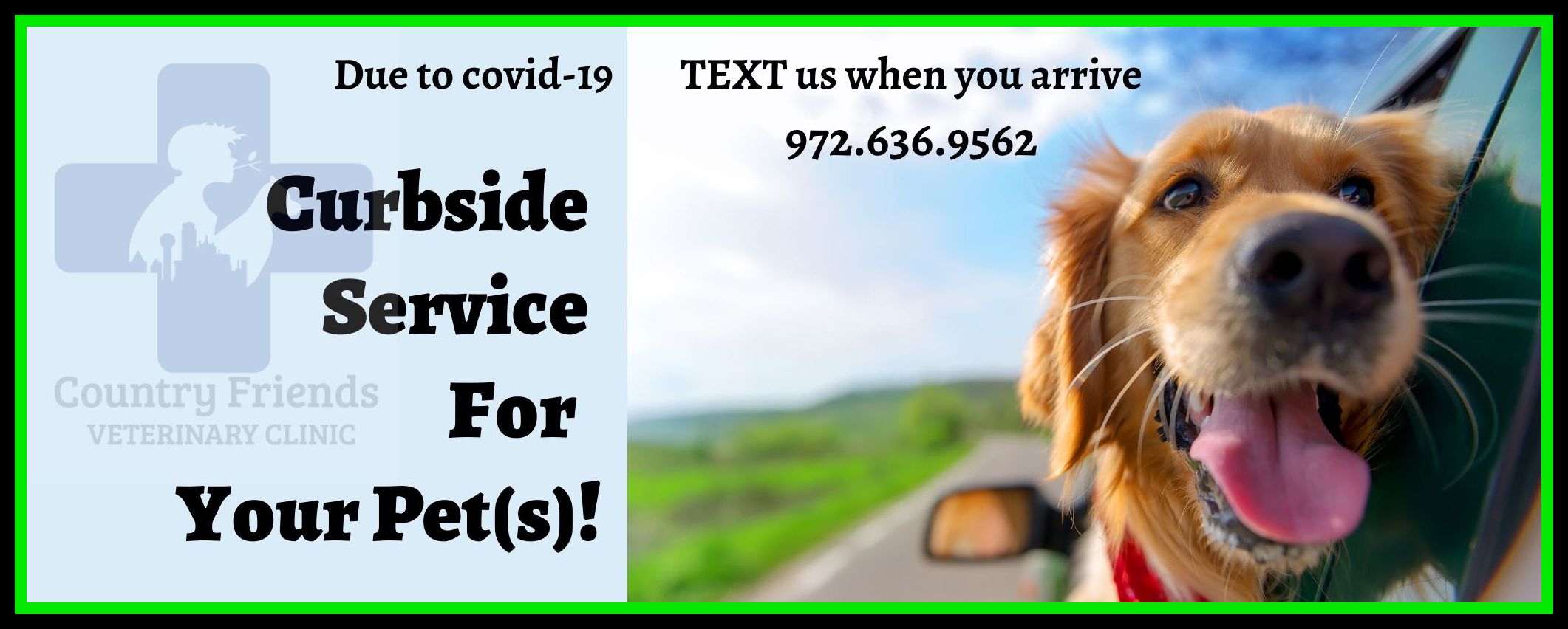 Curbside Service For Your Pet, Country Friends Veterinary Clinic, Royse City, Hospital, Vet, Pet, 75187, 75087
