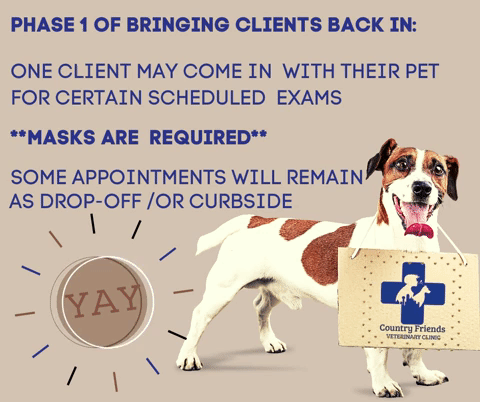 Covid-19 Update_ One Client may Come in for their Pet's appointment